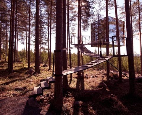 treehotel_16