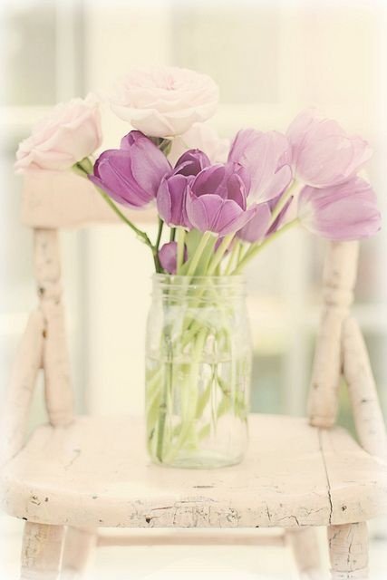 tulipanes06