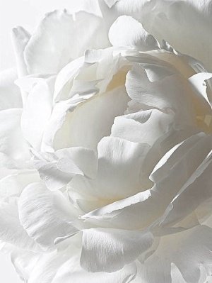 blanco_08