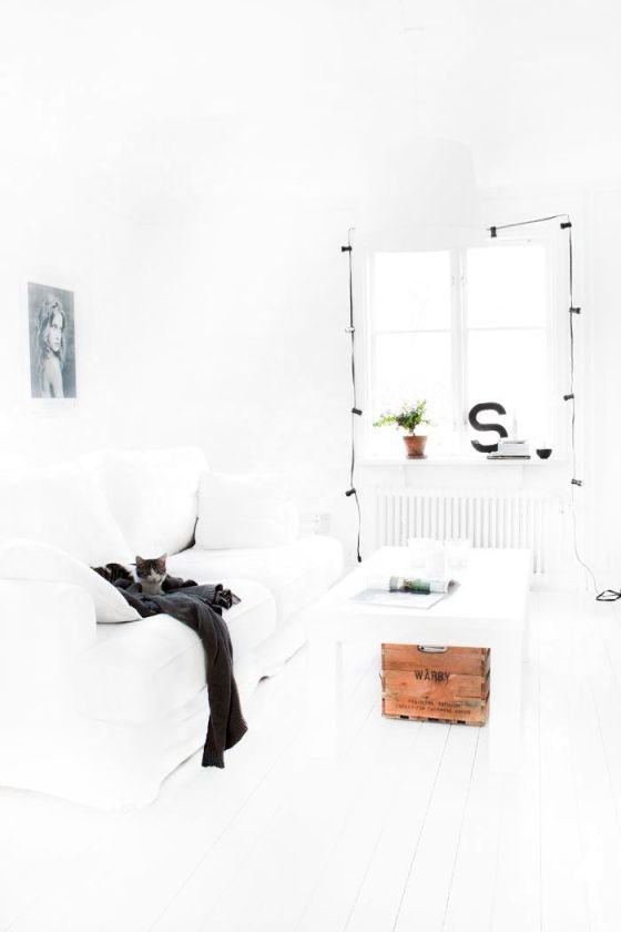 WHITE09