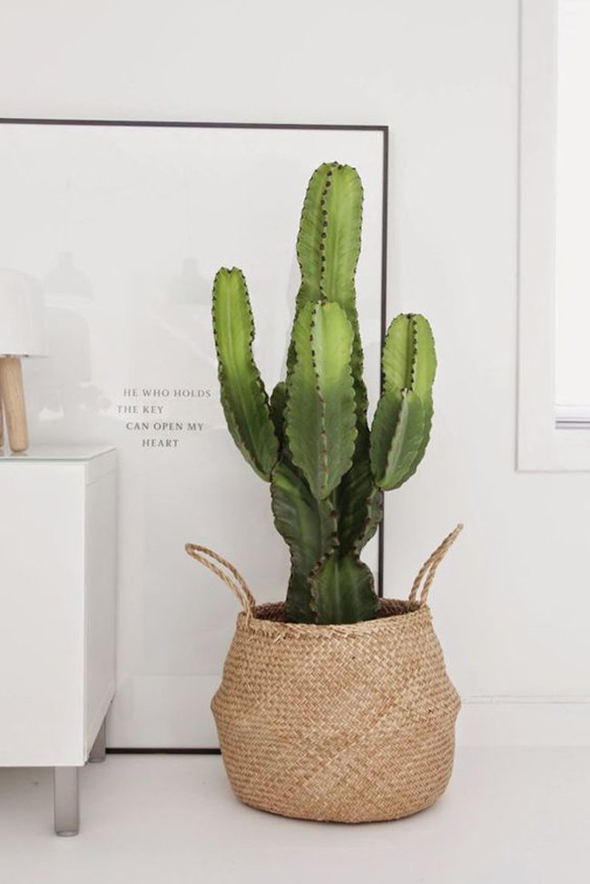 decoracion-mimbre-02