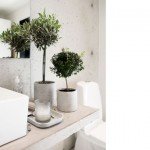 Plantas en el baño