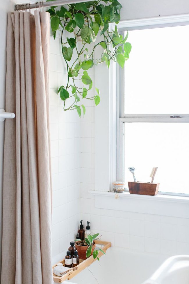 plantas-en-el-baño-13