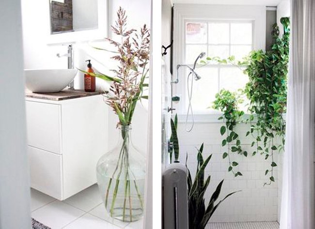 plantas-en-el-baño-15