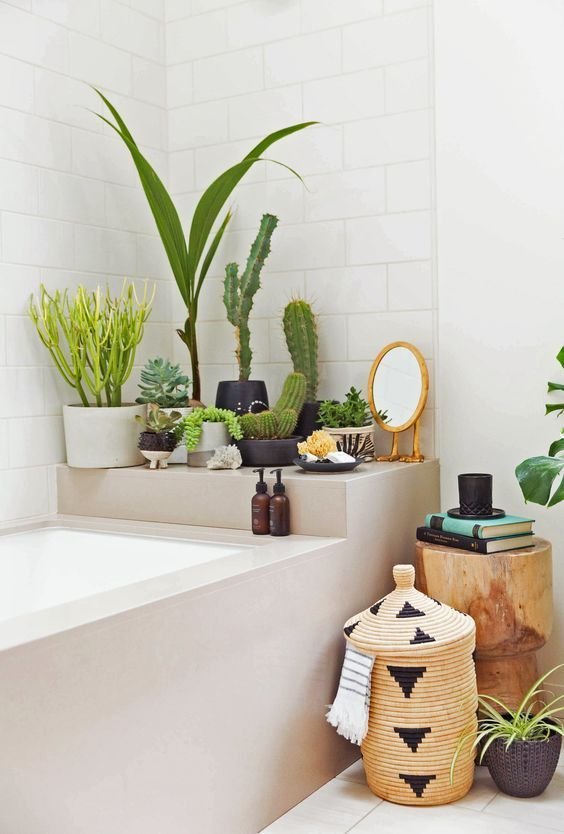 decorar-con-plantas-09