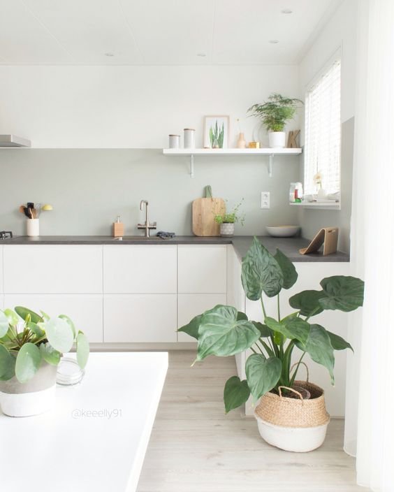 decorar-con-plantas-10