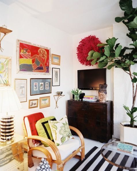 plantas-grandes-08