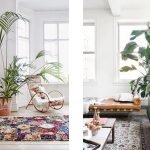 Decorar con plantas XXL